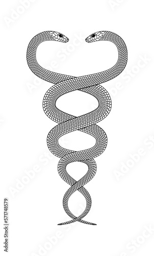 Line drawing of two intertwined snakes
