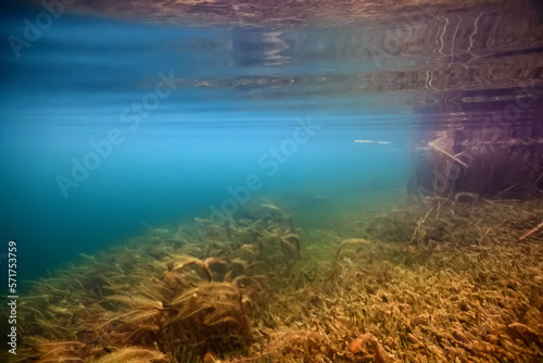 coral reef wallpaper background ocean tropical ecosystem underwater