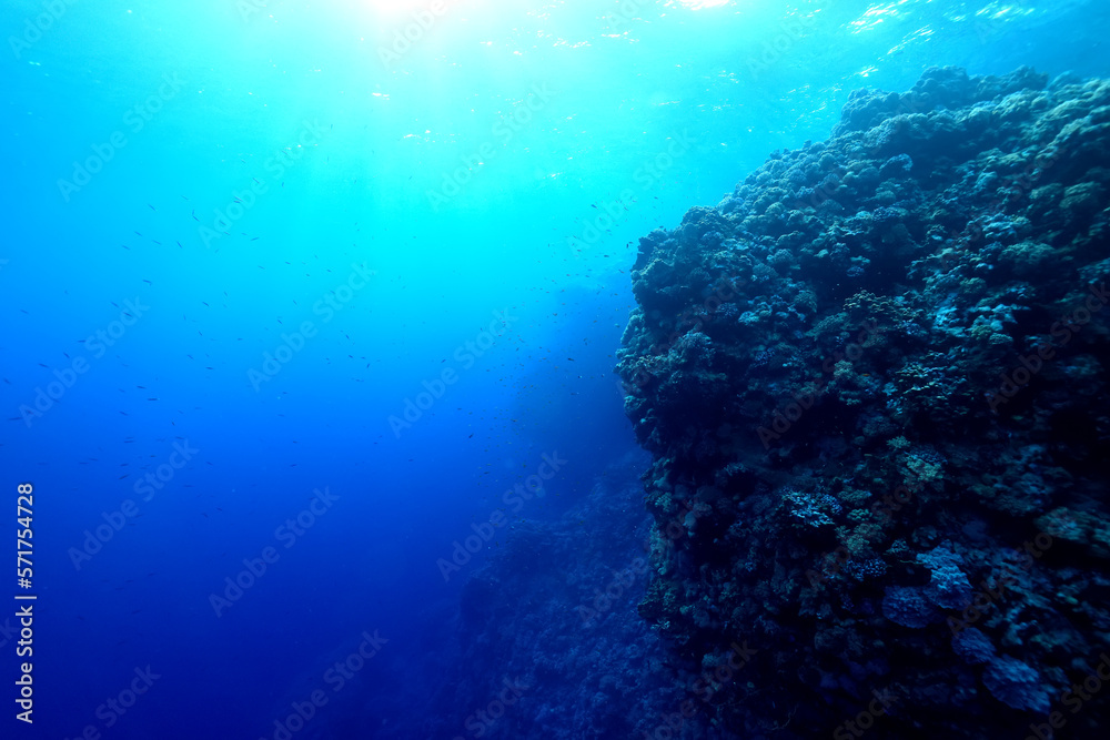 Naklejka premium texture bottom sea abstract background underwater