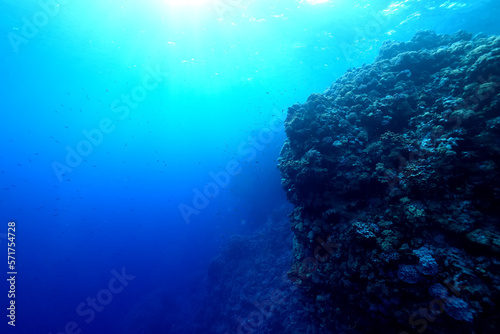 texture bottom sea abstract background underwater