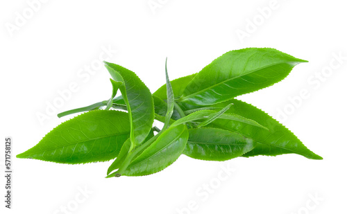 Green tea leaves on transparent png © kitsananan Kuna