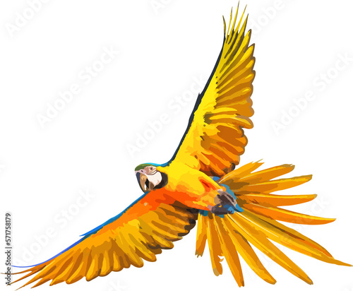 Colorful Blue and gold macaw parrot isolated on transparent background. Vector illustration png file