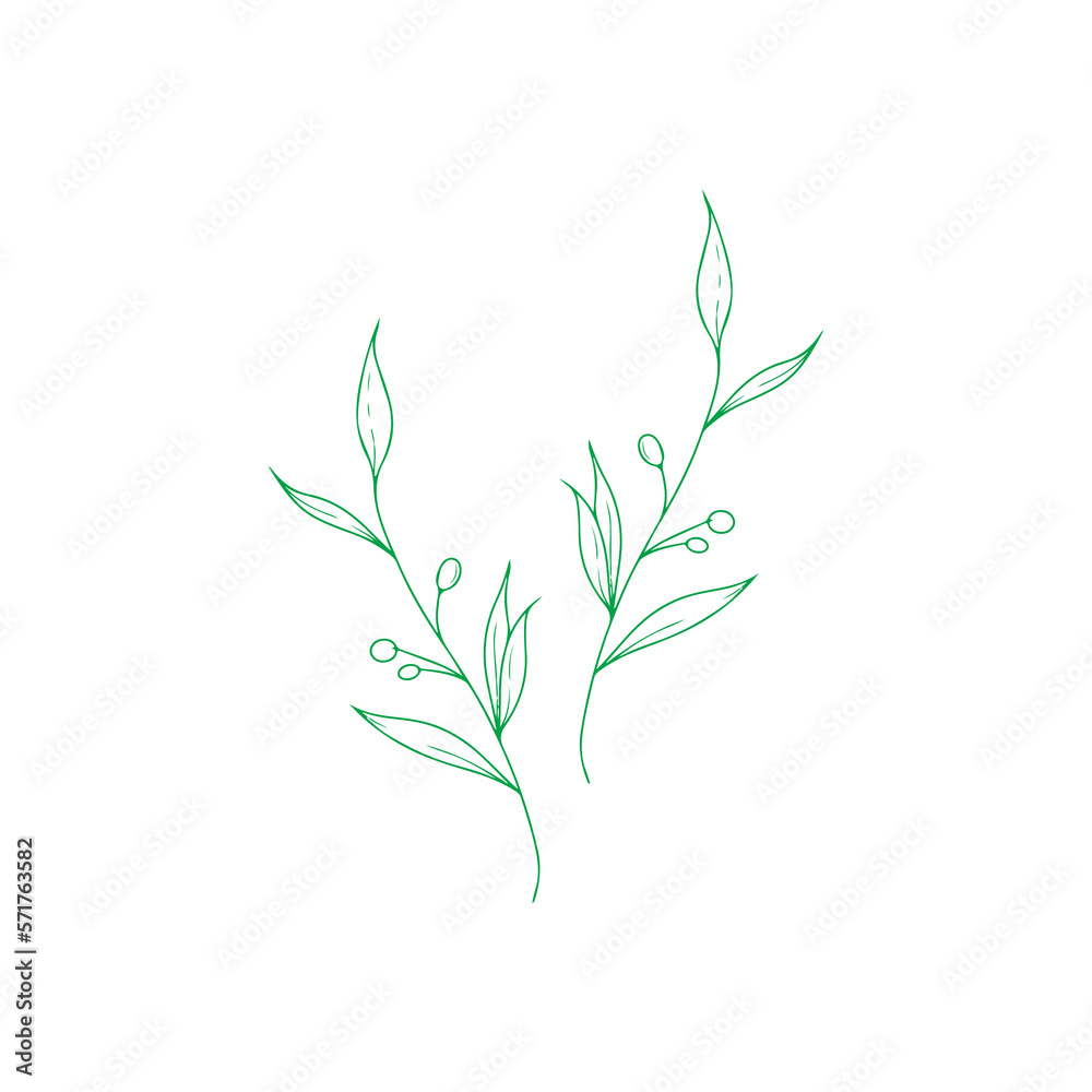 vector illustration of a green leaf vector illustration of a green leaf