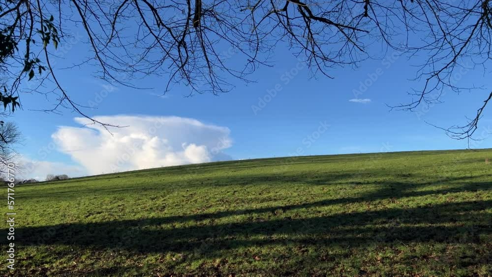 Mushroom shaped cloud on sunny green hill field, pan towards tree shadow branch