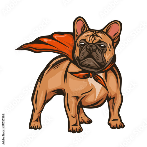 French bulldog vector illustration
