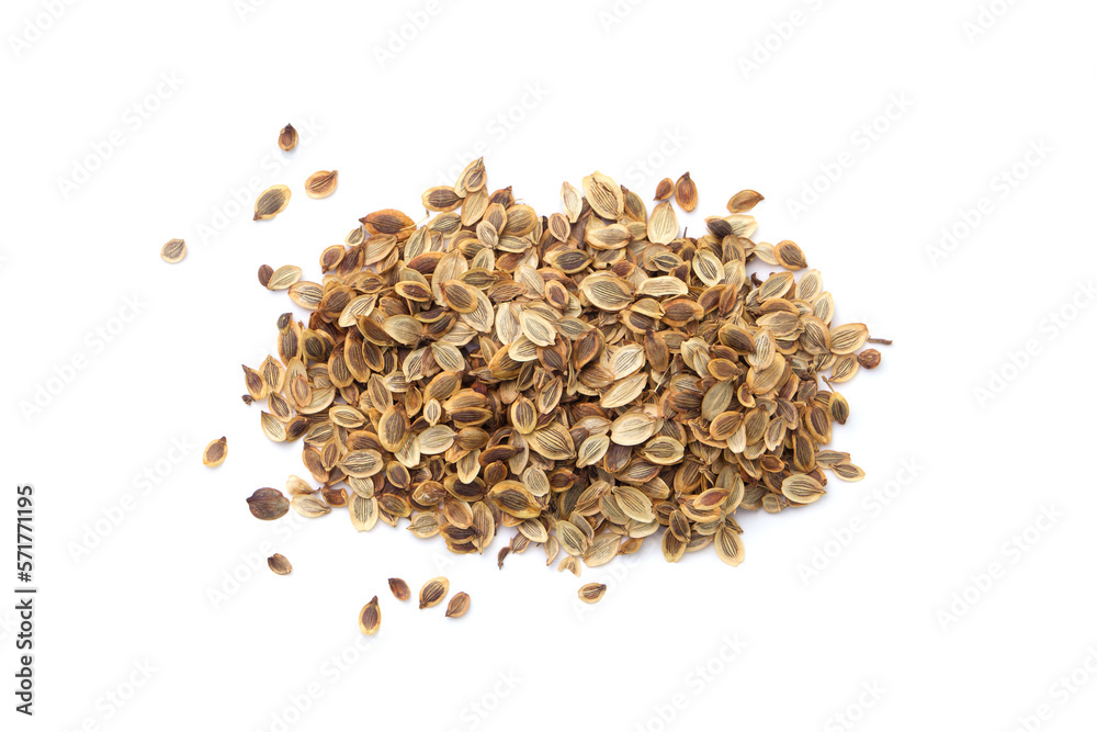 Pile of dry dill seeds isolated on white background , top view , flat lay. Pile of dry dill seeds isolated on white background , top view , flat lay.