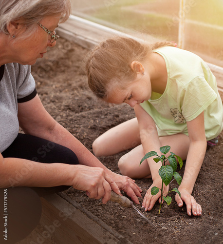 child with grandmother planting plants