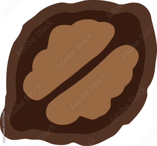Walnut Fruit Flat Illustration