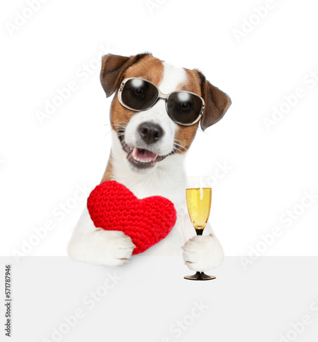 Fototapeta Naklejka Na Ścianę i Meble -  Happy Jack Russel Terrier puppy wearing sunglasses holds the red heart and glass of champagne. isolated on white background