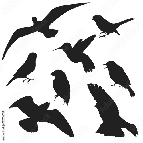 vector collection of bird silhouettes in flat style of various styles and shapes, flat bird vector isolated on white background