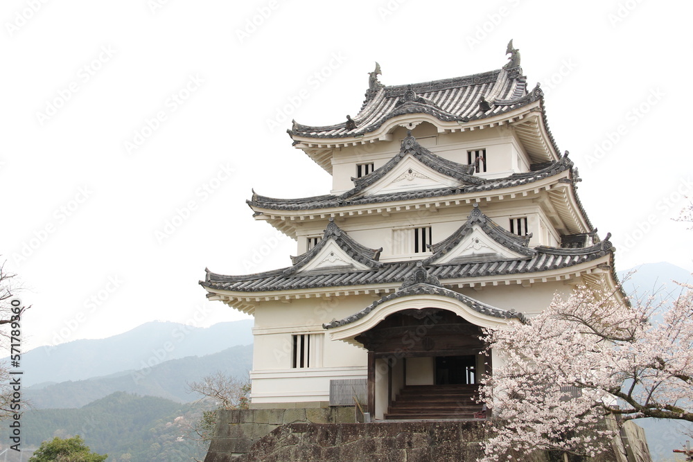 愛媛県　宇和島城と桜
