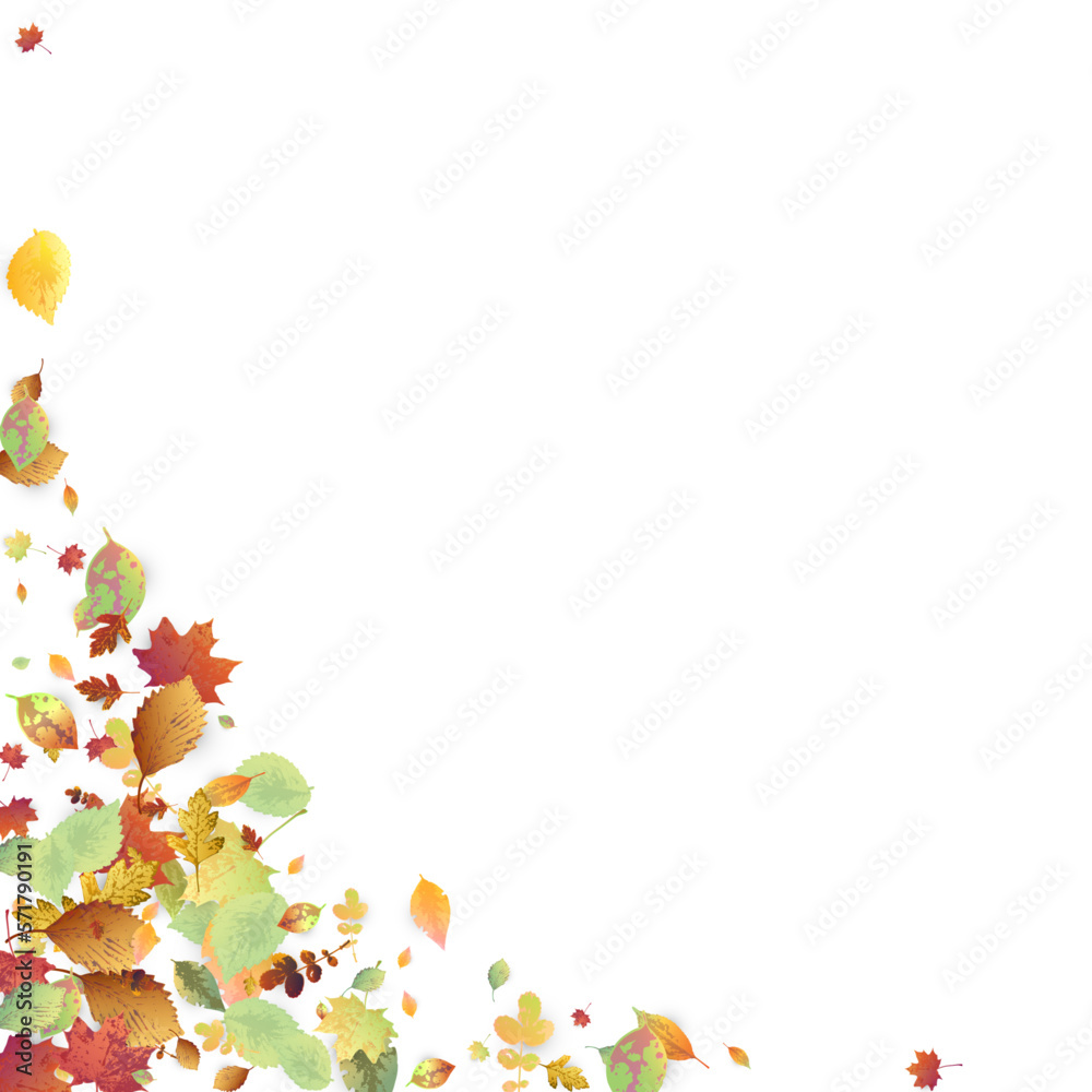 Leaves Falling Autumn Foliage Chaotic Leaf Flying Leaves Falling Autumn Foliage Chaotic Leaf Flying