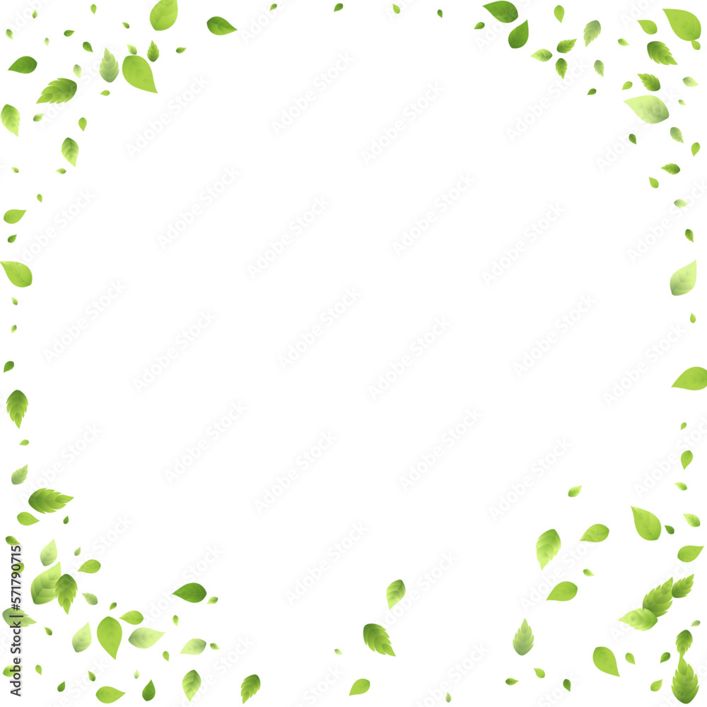 Leaves Green Falling Flying Foliage Leaf Tea Mint