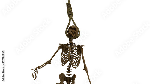 skeleton hanging on gallows rope on transparent background.