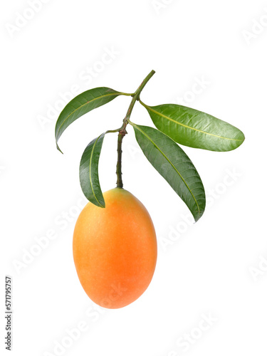 Photography ripe Sweet Yellow Marian plum with leaves on white background.