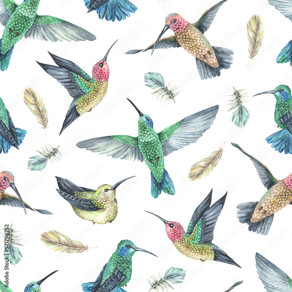 Watercolor illustration.Seamless pattern hummingbird and feathers.Exotic tropical colorful birds.Isolated on a white background.For the design of fabric, wallpaper, interior decorations in boho style Watercolor illustration.Seamless pattern hummingbird and feathers.Exotic tropical colorful birds.Isolated on a white background.For the design of fabric, wallpaper, interior decorations in boho style