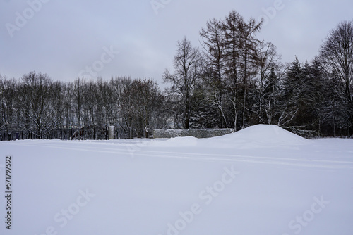 Snowy landscape during winter time with ground covered with white fresh snow. Trees on the back. Tallinn, Estonia, Europe. February 2023