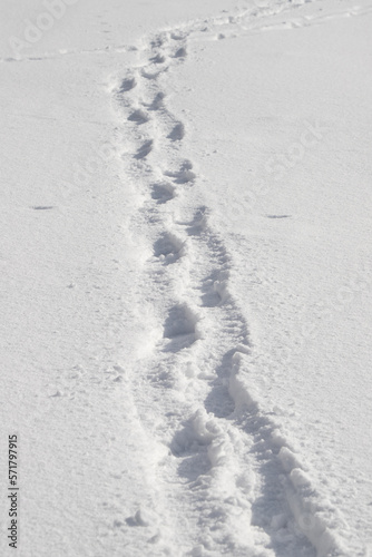 Human footprints on the white snow into the distance.