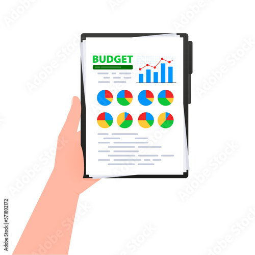 Budget document. Financial accounting. Financial audit research analysis