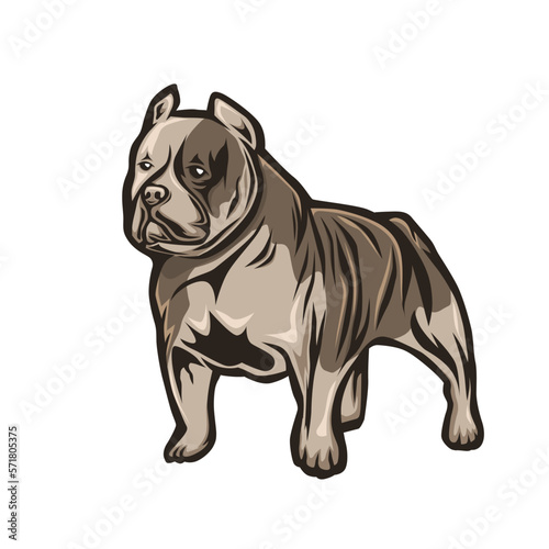 American bully Vector Illustration