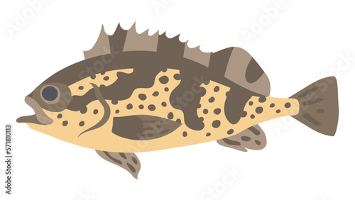 タケノコメバルのフラットなベクターイラスト