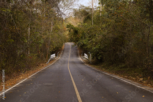 road in the national park