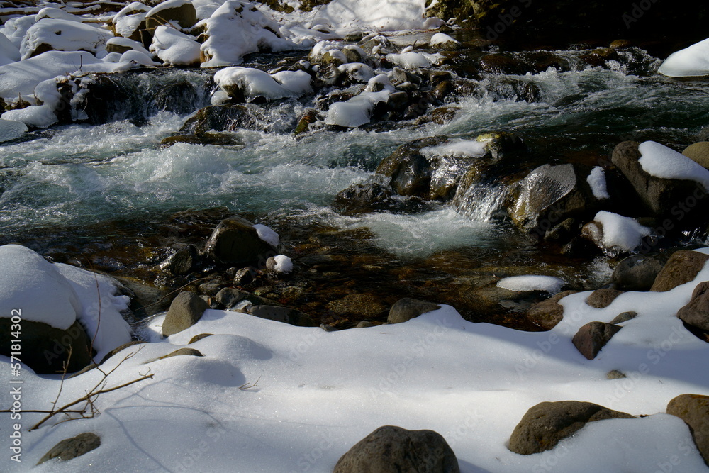 Fototapeta premium 冬の雪のある山の中の流れ