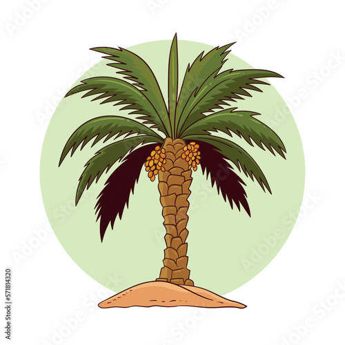 date palm tree vector illustration