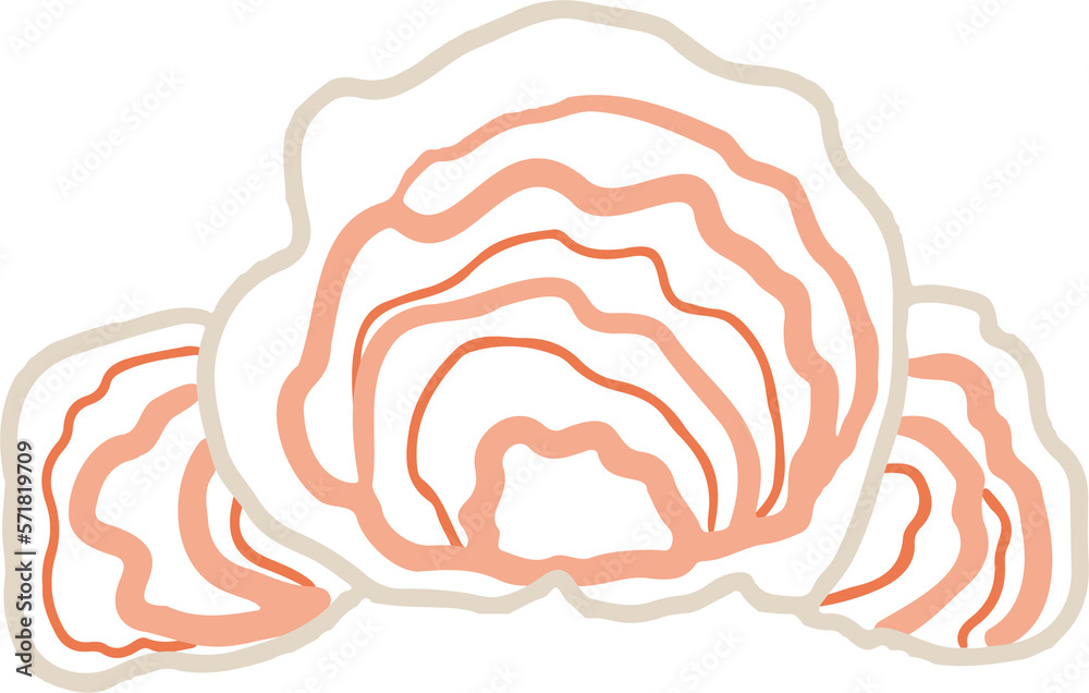 Lichen or moss isolated PNG element. Forest woodland fungus. Cute hand drawn biology and botanical illustration isolated on transparent background. Organic nature plant Lichen or moss isolated PNG element. Forest woodland fungus. Cute hand drawn biology and botanical illustration isolated on transparent background. Organic nature plant