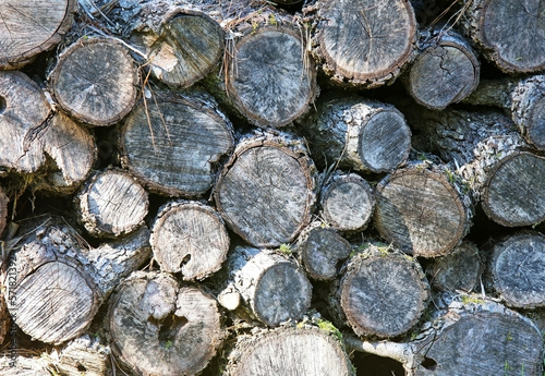 Pile of wood logs cut for a fireplace or home heating