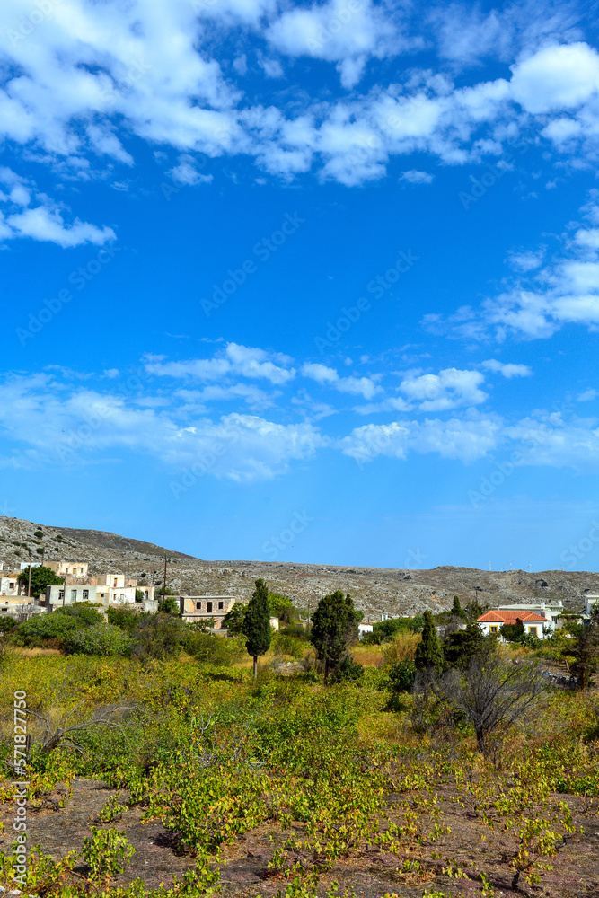 Weinbau in Sitanos, in der Provinz Sitia, Südostkreta, Griechenland Weinbau in Sitanos, in der Provinz Sitia, Südostkreta, Griechenland
