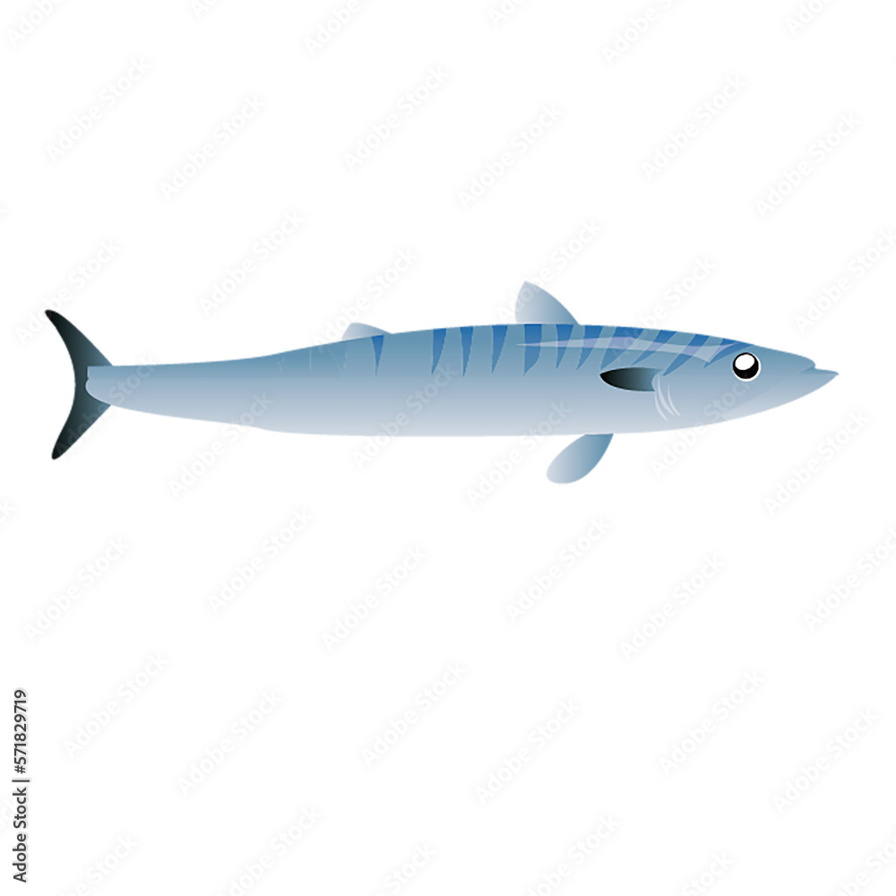 Fototapeta premium fish isolated on white background