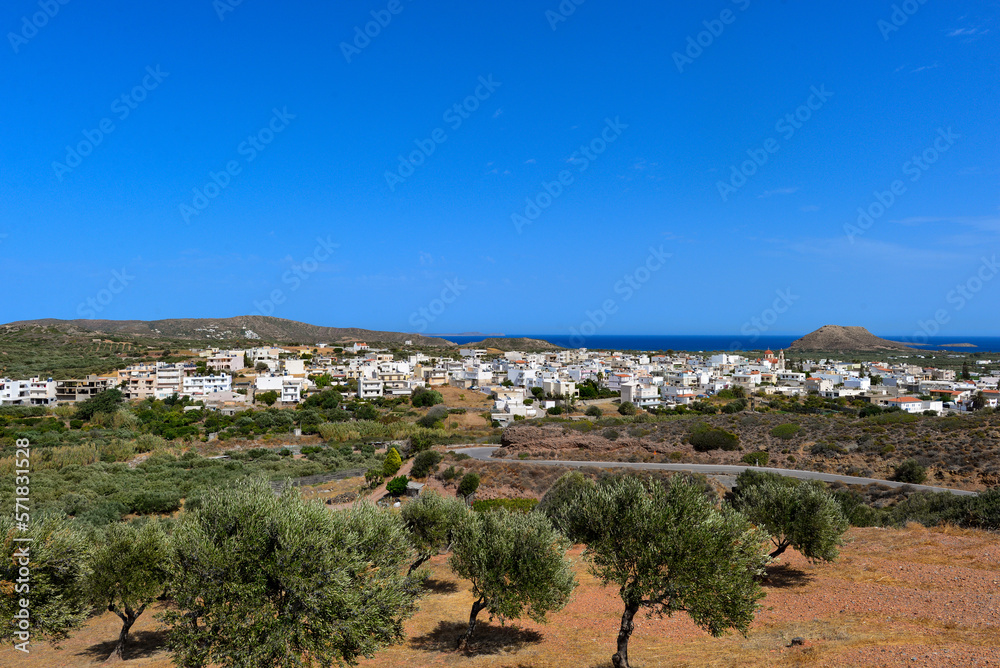 Olivenhain in Südoskreta bei Palekastro Olivenhain in Südoskreta bei Palekastro