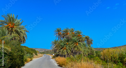 Provinzstraße von Palekastro nach Palemenstrand Vai in Ostkreta, Griechenland photo