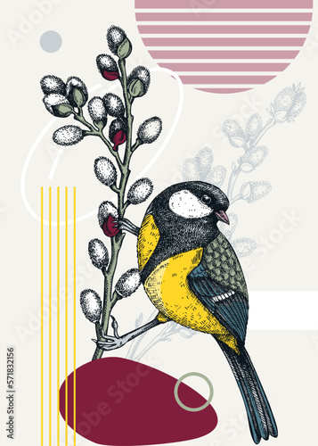 Collage style spring card or poster modern design. Great tit sitting on willow branches vector sketch. Hand drawn passerine bird, floral elements and geometric shapes. Trendy wildlife illustration.
