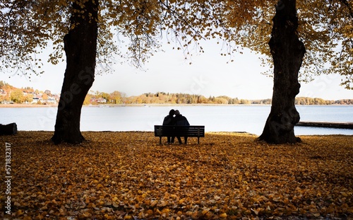 Couple sitting on a bench surrounded by fall leaves enjoying scenery photo