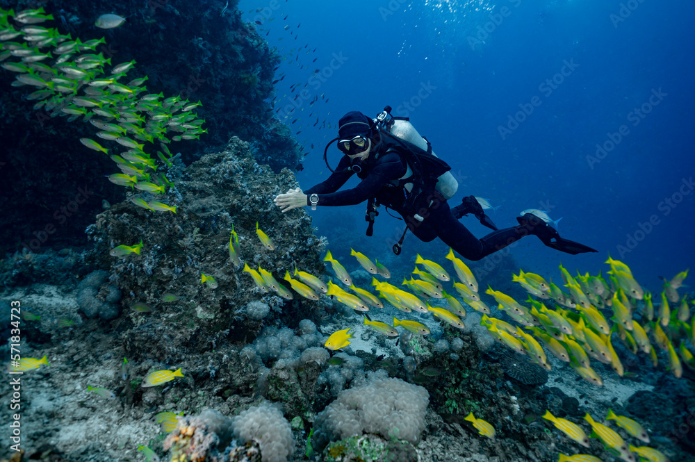 diver exploring the clear water of the Andaman Sea / Thailand diver exploring the clear water of the Andaman Sea / Thailand