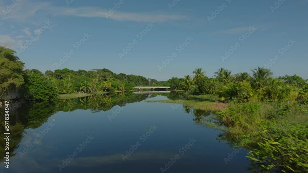 Low flight above calm water surface. Palm trees and tropical vegetation on banks mirroring on river. Costa Rica Low flight above calm water surface. Palm trees and tropical vegetation on banks mirroring on river. Costa Rica