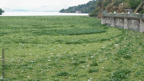 Pan across lake at Hartbeespoort with mat of invasive weeds and trash photo