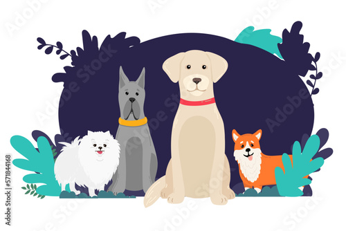 large dogs border set, front view spitz, french mastiff, labrador banner for landing page with goods for dogs