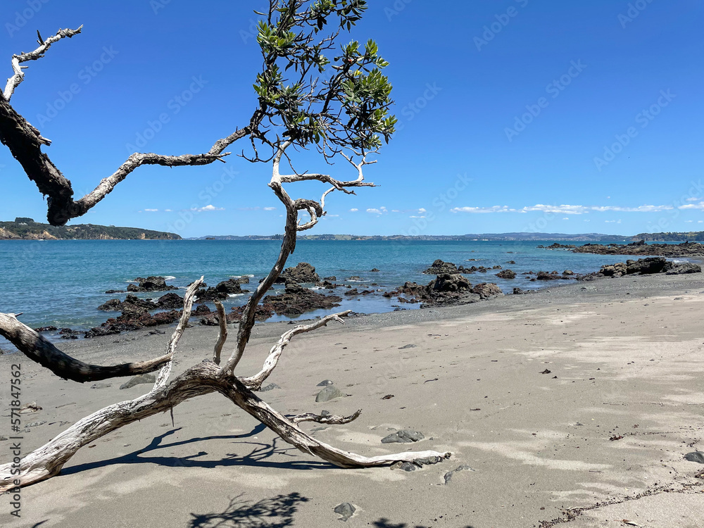 Marine Landscape. The view of rocky coastline at Tawharanui Regional Park in a sunny day, New Zealand. Marine Landscape. The view of rocky coastline at Tawharanui Regional Park in a sunny day, New Zealand.