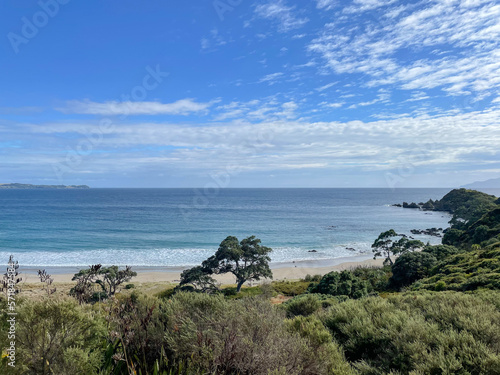 Coastline at Tawharanui Regional Park in a sunny day, New Zealand.