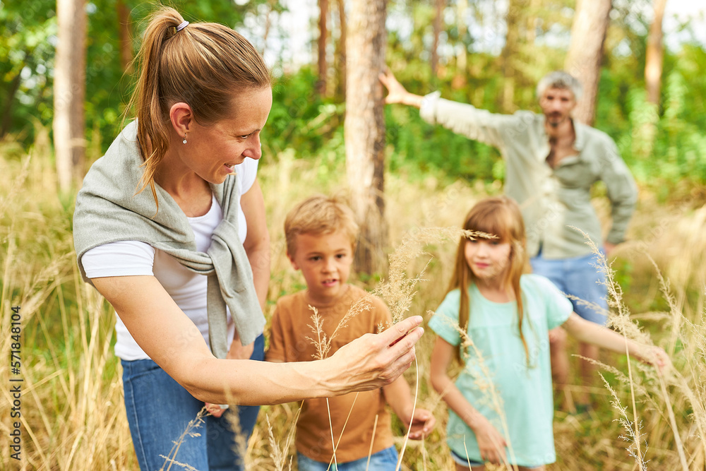 Fototapeta premium Children hiking with family in forest during vacation