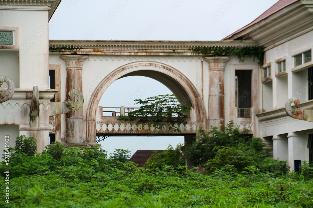 An unused white building whose yard is filled with shrubs An unused white building whose yard is filled with shrubs