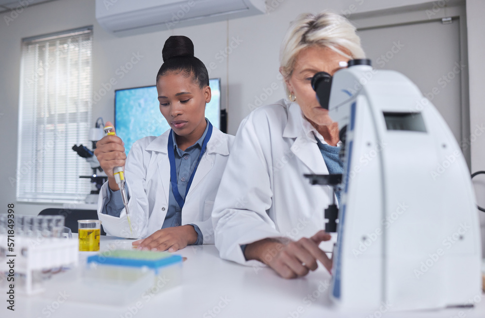 Research, microscope and science women for teamwork, medical analysis of liquid in laboratory. Biotechnology, pharmaceutical medicine test and scientist or student black woman and professional senior Research, microscope and science women for teamwork, medical analysis of liquid in laboratory. Biotechnology, pharmaceutical medicine test and scientist or student black woman and professional senior