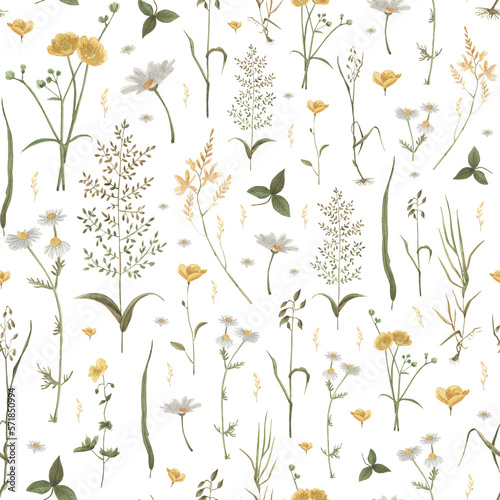 Watercolor pattern wildflowers, dark background light, chamomile 