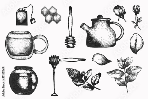 Hand drawn honey, mint, roses and tea elements Illustration set. Detailed retro style clipart in black and white. Vintage sketch clip art for labels, packaging and cards design. Herbal tea collection