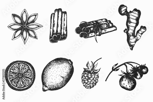 Hand drawn vector tea set Illustration. Detailed retro style clipart , ginger, lemon anis star, strawberry clip art set. Vintage sketch for labels, packaging and cards design. Tea elements