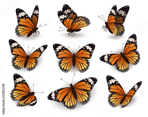 Monarch butterfly, flying in different directions. Collection of butterflies on a white background. Butterflies side and top view.