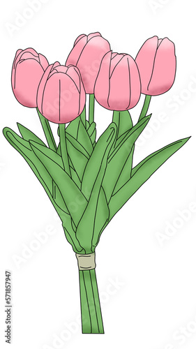 Tulips illustration PNG
